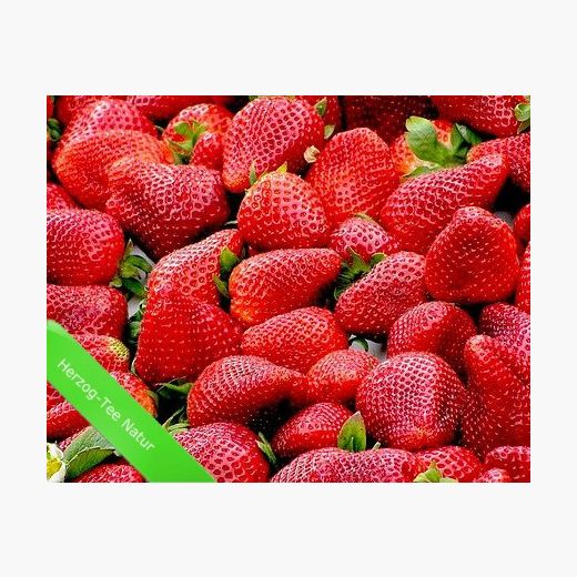 Früchtetee-Erdbeere 30 Kannenbeutel