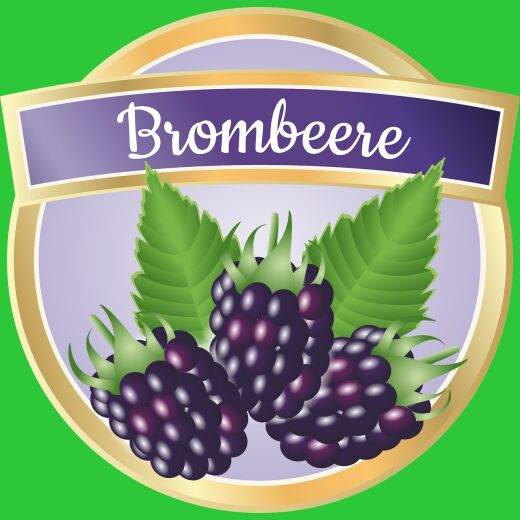Brombeere-Früchtetee 10 X 5-Liter