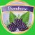 Brombeere-Früchtetee 10 X 5-Liter