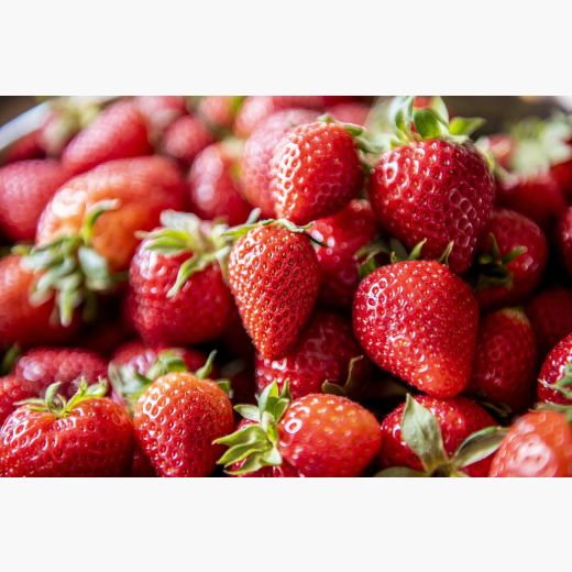 Erdbeer-Sahne-Royale 5 X 5 Liter