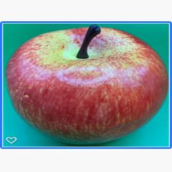 Freches-Apfelfrüchtchen 10 X 5 Liter